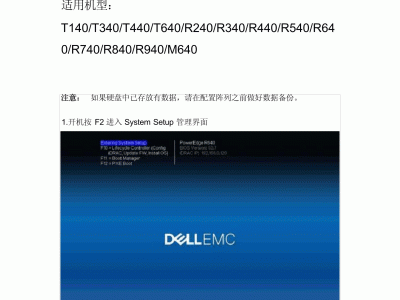 包罗R440进raid的词条