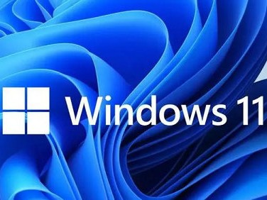 win11体系
官方下载网址（windows11官方下载地点
）「windows 11官方下载」