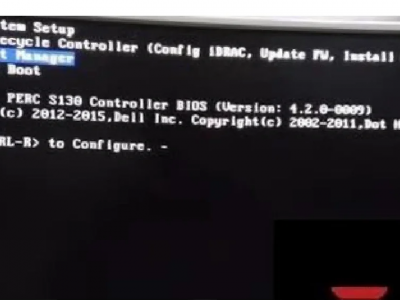 戴尔服务器阵列故障_戴尔服务器阵列卡怎么看「戴尔服务器阵列卡在什么位置」