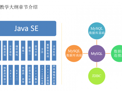 海牛服务器（海牛平台是干啥的）「海牛官网」